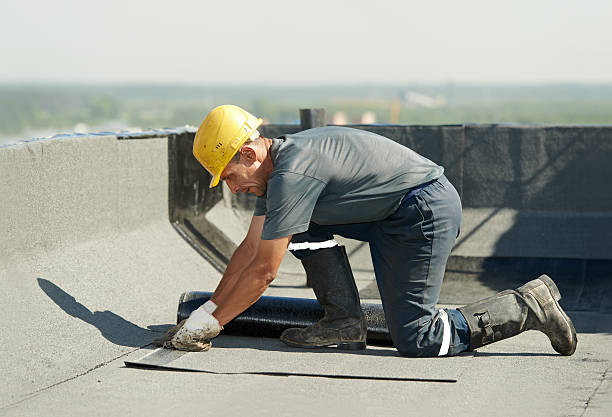 Best Insulation Maintenance and Repair in Thayer, MO