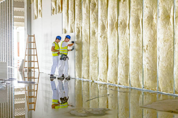 Best Insulation for Specific Applications in Thayer, MO